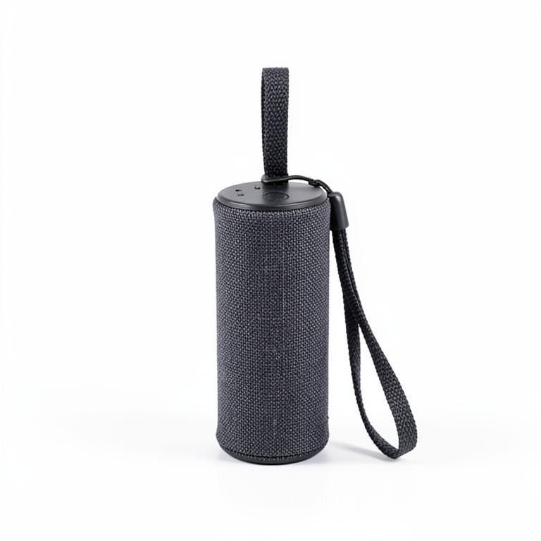 Roam Go Portable Bluetooth Speaker
